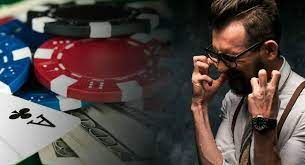 Как войти на сайт DBbet Casino
